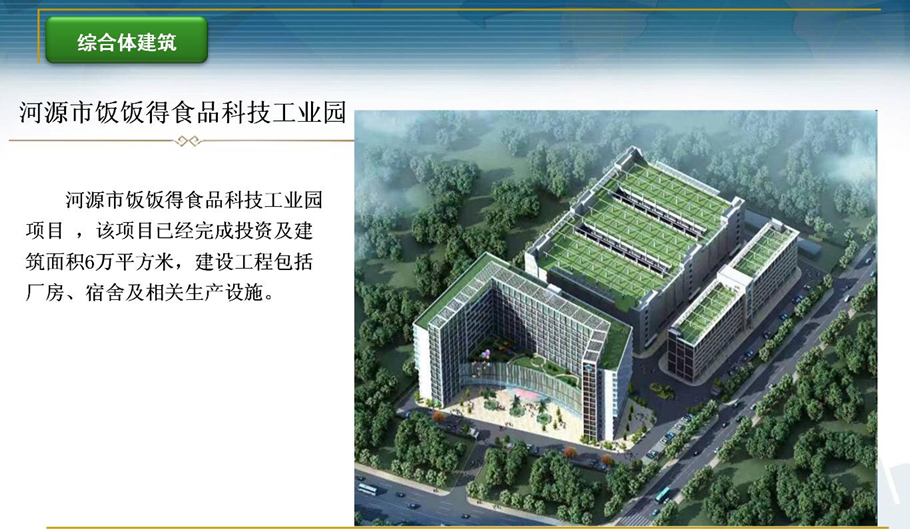河源市饭饭得食品科技工业园